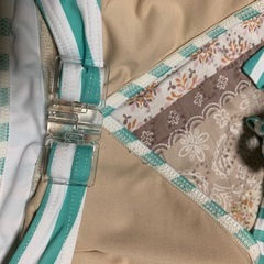 13号の水着
の画像