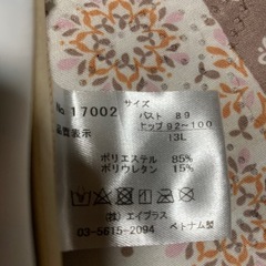 13号の水着
の画像