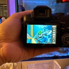 EXILIM EX-F1コンパクトデジタルカメラの画像