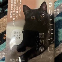きりこについて