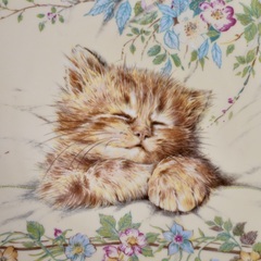 イギリス ヴィンテージ ネコ 絵皿 8枚セット コレクションプレート