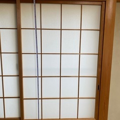 未使用 いるかカーテンの画像