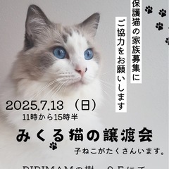 🌸🌺譲渡会をします🌺🌸