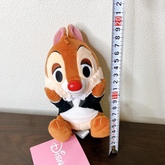 美品】チップの画像