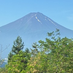 全国メンタルグルメンバー募集中