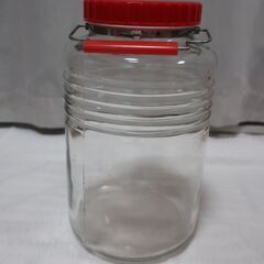 果実酒　梅酒　ガラス瓶②6L