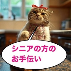 シニアの方のお手伝い