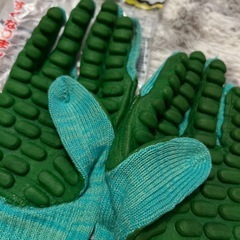 しんげんくんの画像