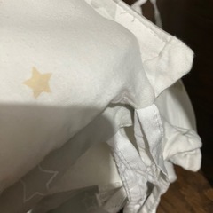 もうすぐすてます。プッパプーポ　ベッドガード　ラージサイズの画像