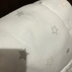 もうすぐすてます。プッパプーポ　ベッドガード　ラージサイズの画像