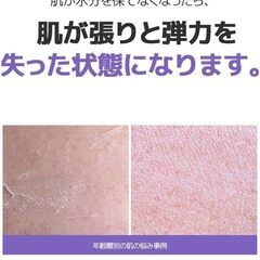 ターライク リニュープランピングセラムの画像