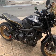 ヤマハMT-09 RN52 
の画像