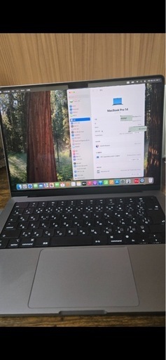 mac pro 14
