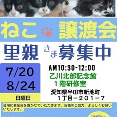 半田市猫の譲渡会7月