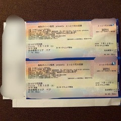 とっとり花火回廊　自由観覧エリアペアチケット