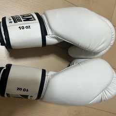 ファイティングロード　自立式サンドバック　ボクシンググローブ付き
の画像