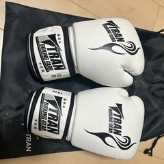 ファイティングロード　自立式サンドバック　ボクシンググローブ付き
の画像