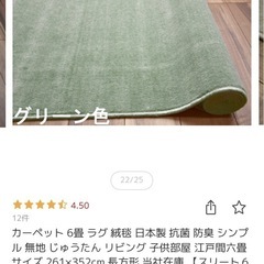 【相談中】6帖カーペット グリーン