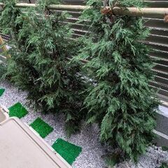 植栽　植木　2025年5月新築住宅の画像