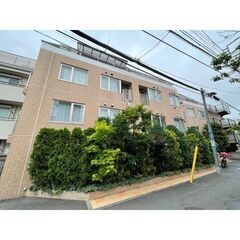  🌟デザイナーズ，エレベーター，宅配ＢＯＸ,洗面所独立，暖房便座...