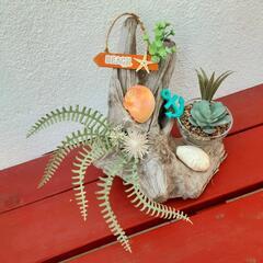 西海岸風流木の置物　寄せ植え　プレゼント　贈答用にの画像