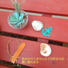 西海岸風流木の置物　寄せ植え　プレゼント　贈答用にの画像