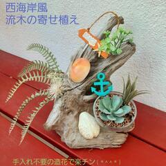 西海岸風流木の置物　寄せ植え　プレゼント　贈答用に