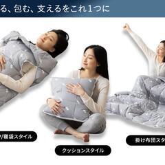 コンパクトシュラフ・クッションの画像
