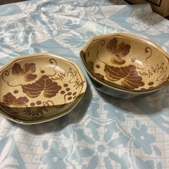 和皿2枚で100円