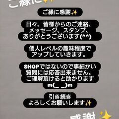半袖Ｔシャツです☆  サイズはＬＬ　(着心地は Ｌ くらいです)の画像