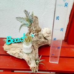 西海岸風置物　寄せ植え　プレゼント　贈答用にの画像