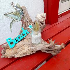西海岸風置物　寄せ植え　プレゼント　贈答用にの画像