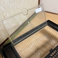 【無料】不要になった虫カゴお譲りします！の画像