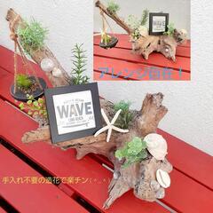 西海岸風流木の置物　寄せ植え　プレゼント　贈答品にも