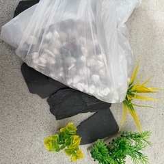 水槽用インテリア&砂利