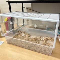 ハムスター　ケージ　巨大