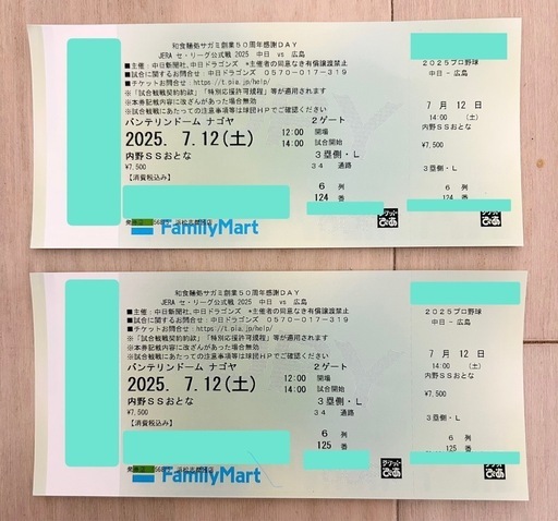 プロ野球観戦ペアチケット 中日vs広島