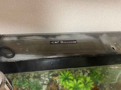 金魚 入ってるタンク