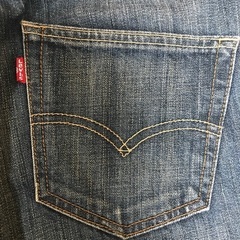 Levi's 511の画像