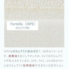 【定価11,800円】プレイマット Fortellaの画像