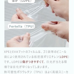 【定価11,800円】プレイマット Fortellaの画像