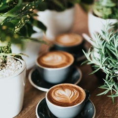 朝活でいい1日のスタートを切りませんか？