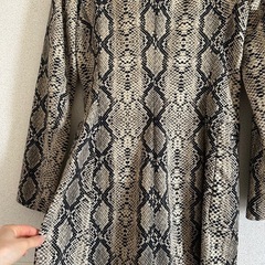 【美品】ZARA パイソン柄コートの画像