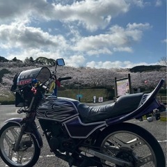 zx 4r バイクの中古が安い！激安で譲ります・無料であげます