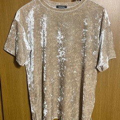 光沢のあるベージュのベロア風Tシャツ