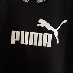 PUMA半袖Tシャツの画像