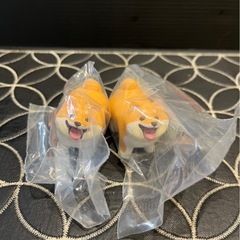 いい感じの棒をゲットした犬　1個の画像