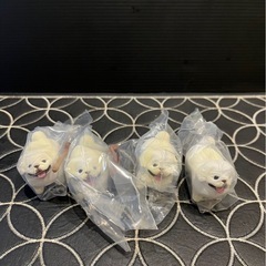 いい感じの棒をゲットした犬　1個の画像