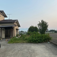 庭の草刈りしていただける方！
