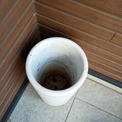 傘立ての画像